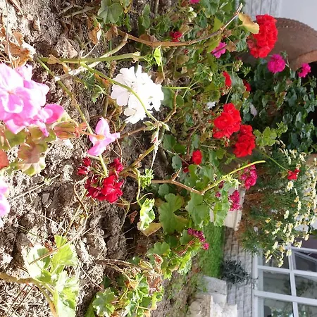 Hotel Limonlu Ev Ardic Alacati