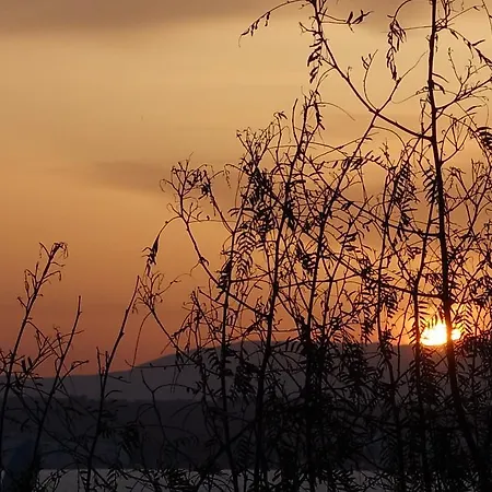 Limonlu Ev Ardic Alacati